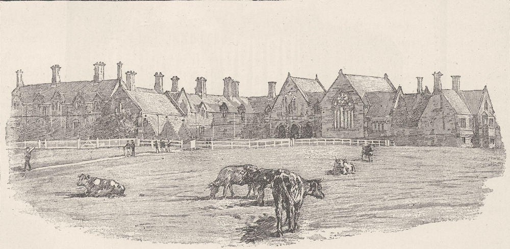 AUSTRALIA. Education. St Paul's College, Sydney 1890 old antique print picture
